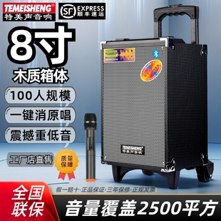 特美声户外广场舞演出带无线话筒大功率移动音响蓝牙K歌拉杆音箱