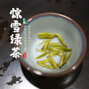 惊雪园 头春开园头采 惊雪绿茶浓栗香豆香无青味