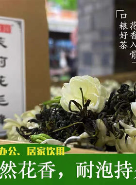 四川茉莉花茶惊雪园浓香耐泡