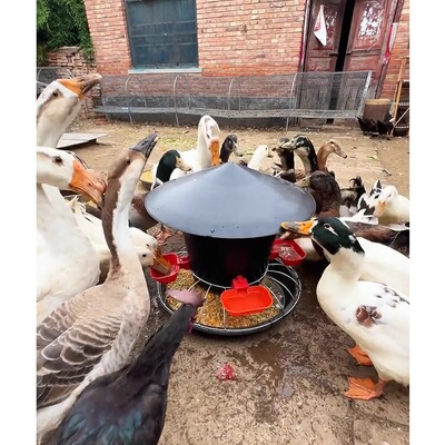 两用鸡喂食槽防水防晒防糟蹋干湿分离水满自停养殖家禽新款网红