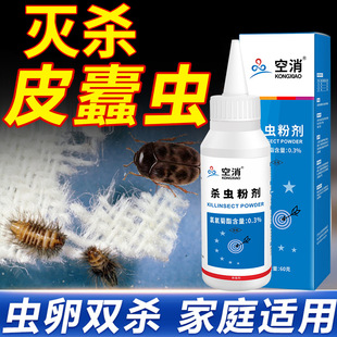 空消灭皮蠹虫杀虫剂家用除灭皮蠹黑毛皮蠹虫幼虫卵喷雾剂粉甲壳虫