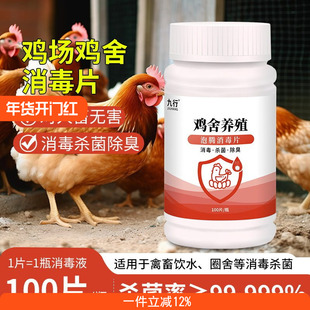 九行养殖厂消毒鸡舍消毒液养鸡场消毒液鸡圈消毒液兽用带鸡喷雾