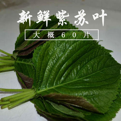 新鲜紫苏叶农家苏子叶干鱼虾蟹香料30克正宗辅料