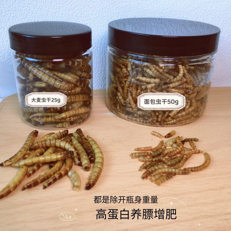 仓鼠零食大麦虫熊熊面包虫干高蛋白长肉零食侏儒花枝鼠蜜袋鼯刺猬