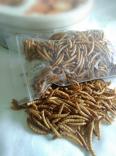 仓鼠零食面包虫干金丝熊高蛋白