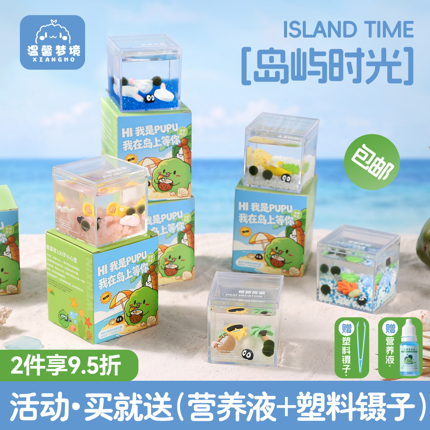 marimo海藻球岛屿时光微景观生态瓶办公室桌面植物绿球藻小宠物