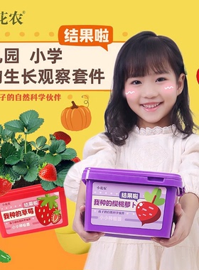 小花农罐头花迷你盆栽草莓种植儿童DIY植物幼儿园观察发芽向日葵