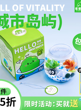 marimo海藻球城市岛屿微景观生态瓶办公室水培植物绿球藻营养液