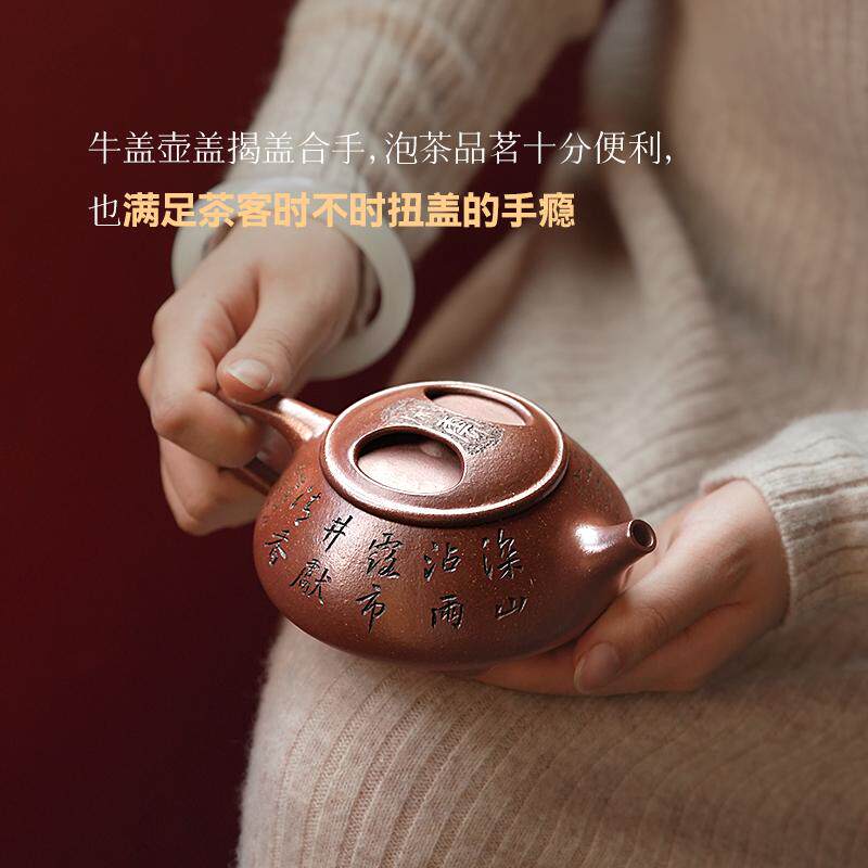 石瓢壶名家大师会客茶具原矿紫泥