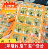 正品 东北长白山雪蛤膏林蛙联体雪蛤油滋补养生雪蛤干12个一盒足干