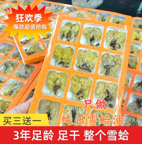 正品东北长白山雪蛤膏林蛙联体雪蛤油滋补养生雪蛤干12个一盒足干