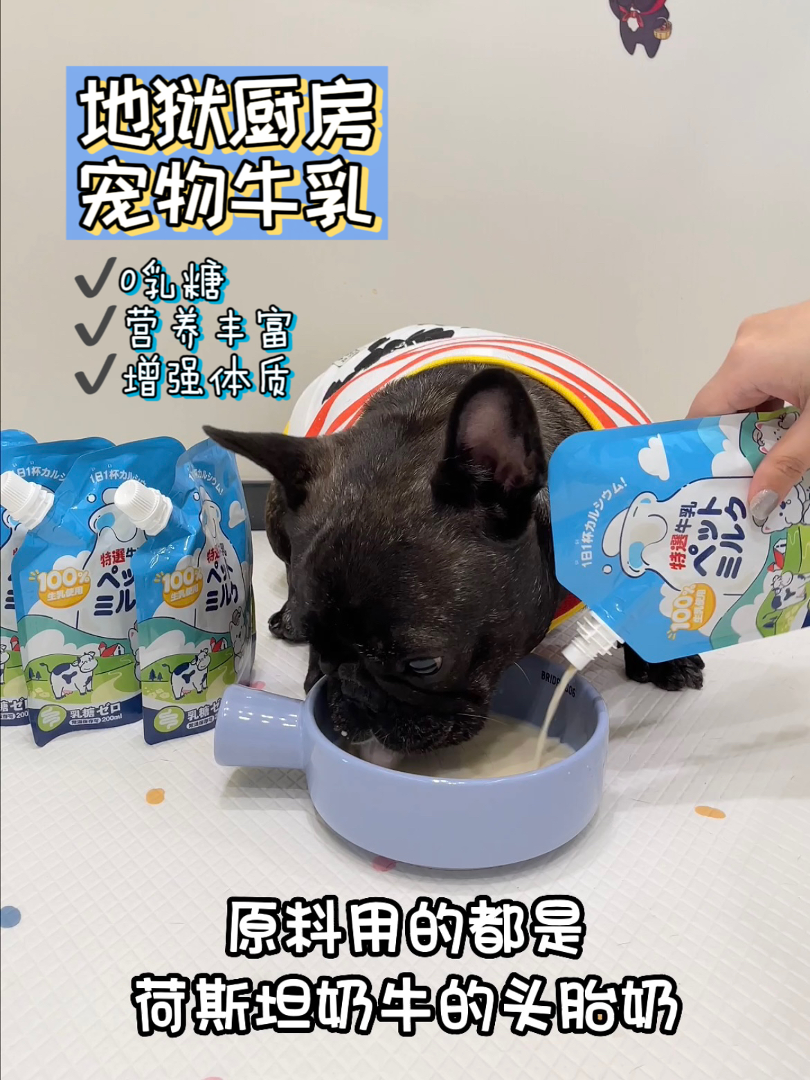 地狱厨房0乳糖宠物牛奶补水补钙