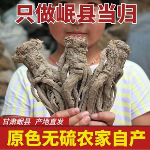 甘肃岷县全当归片250g克 野生特级正品 中药材黄芪党参泡水煲汤 包邮