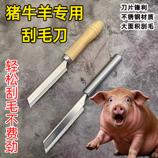 刮猪毛神器家用厨房不锈钢刮肉皮油刀剃毛刀木柄刮猪脚毛清理专用