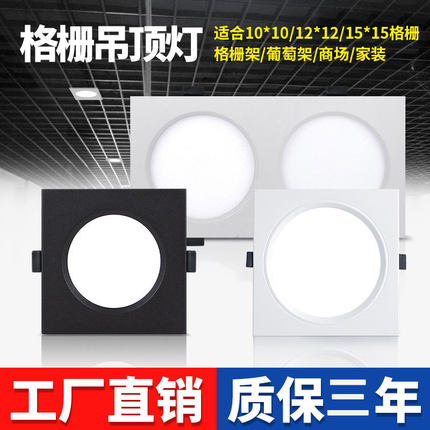 led格栅灯斗胆灯方形筒灯嵌入式铝网格吊顶双头10*20葡萄架专用灯