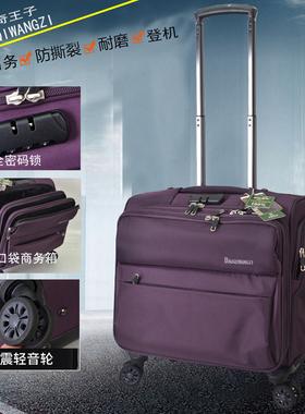 紫色旅行箱18寸商务旅行万向轮拉杆箱密码行李箱包男女16寸密码箱