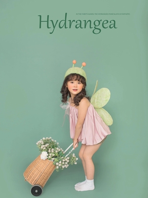 儿童摄影主题服装小精灵