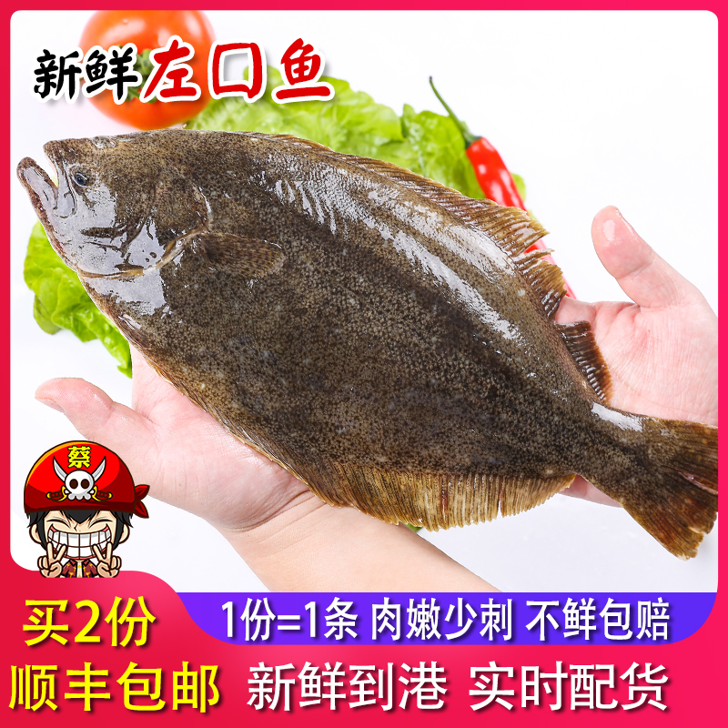左口鱼价格 左口鱼图片 星期三 左口鱼价格 左口鱼图片 星期三