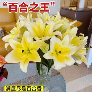 香水百合鲜花云南基地直发水培多头鲜切花花束插花插瓶多重瓣花卉
