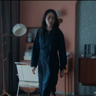 四喜蒋欣童瑶沈明珠同款秋季V领收腰显瘦衬衫裙女长袖轻奢连衣裙