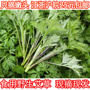 新鲜嫩艾叶食用 野菜 鲜艾叶清明草做青团的草田艾草苏浙沪皖包邮