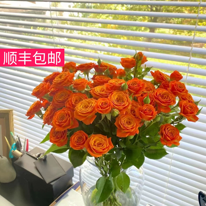 a级橙色芭比多头玫瑰花泡泡云南鲜花花束基地直发顺丰包邮情人节