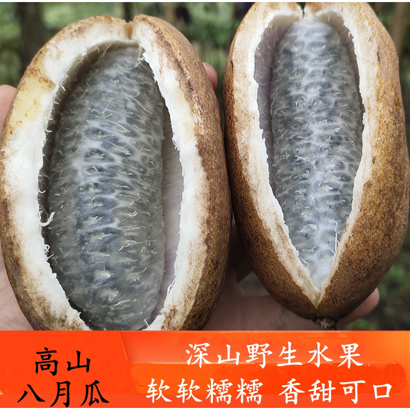 现摘现发恩施高山野生水果八月瓜