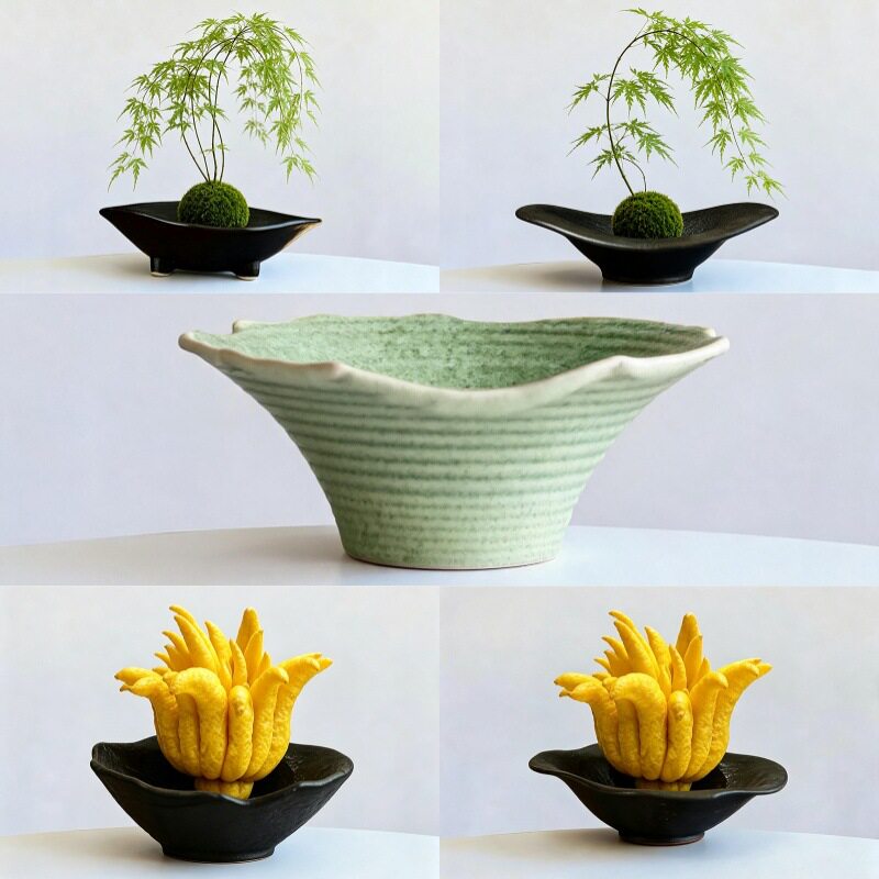 批发佛手柑流泉枫花盆托盘蕨类植花盆