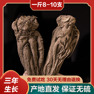 甘肃岷县当归500g正品 无硫新货干新鲜煲汤泡水药材非野生特级