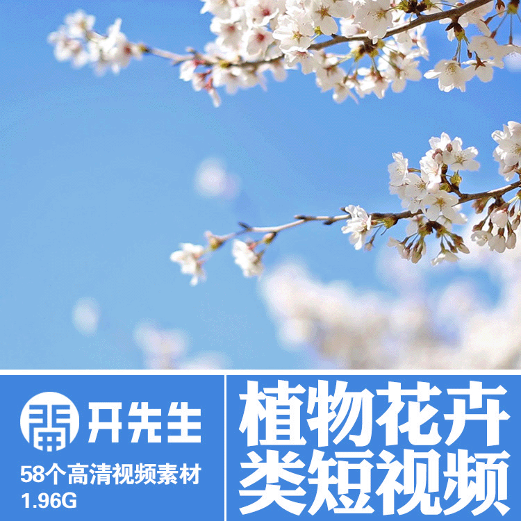 樱花睡莲向日葵椰树桃花玫瑰植物设计素材/源文件