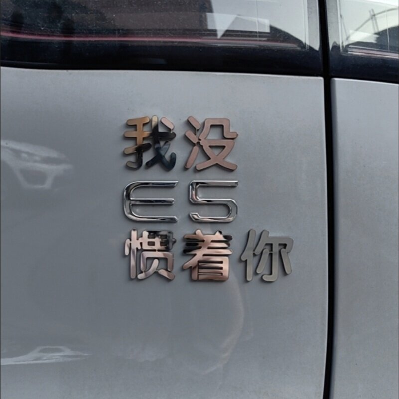 惯着不锈钢定制车标车贴