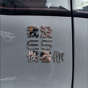 惯着不锈钢定制车标车贴