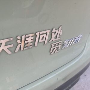 岚图知音不锈钢定制车尾车标