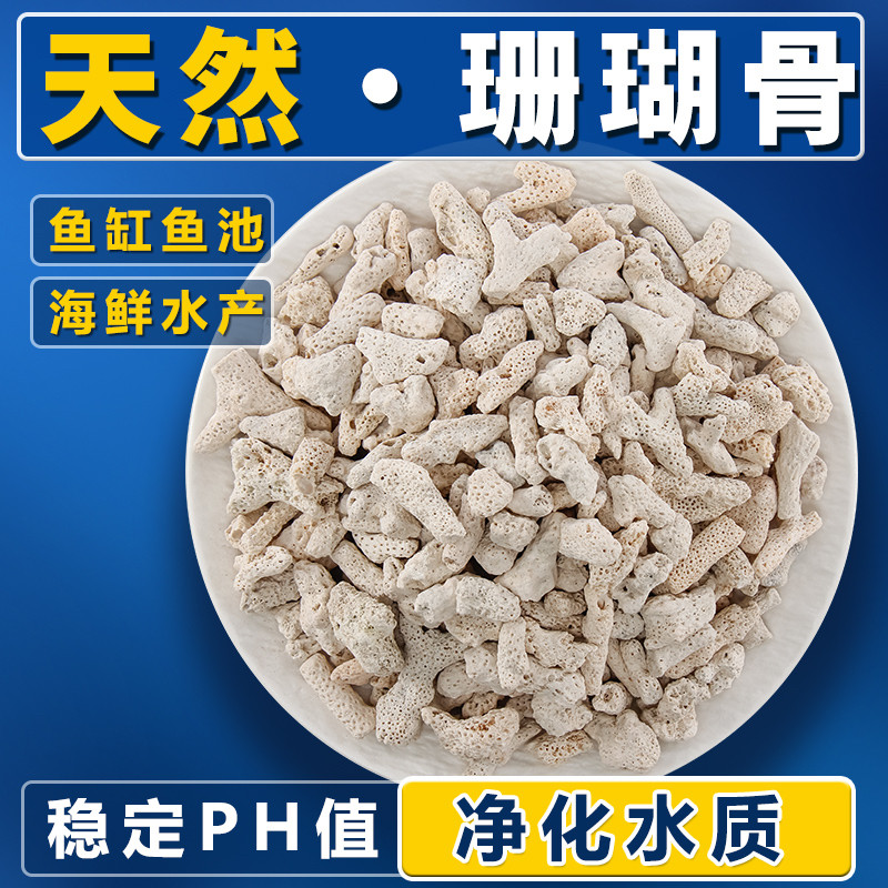 纯天然珊瑚骨鱼缸净化过滤材料珊瑚石造景骨底砂装饰滤材水族箱砂