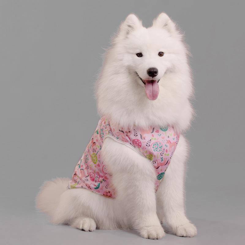 中型犬宠物衣服2025新款秋冬外出狗狗可爱防掉毛透气无袖薄款背心