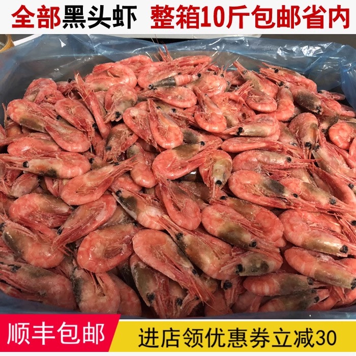 黑头10斤深海辽宁省包邮北极虾