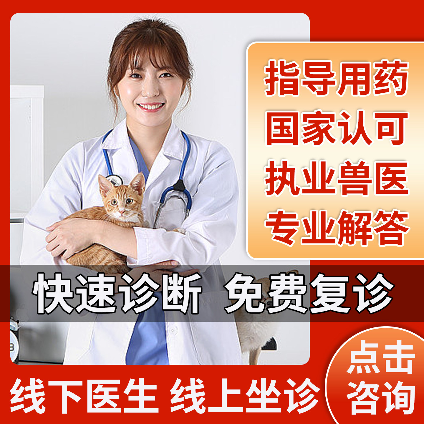 宠物医生咨询问诊兽医在线咨询