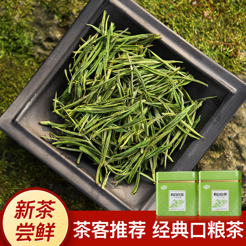 一级好茶芳羽安吉白茶500g罐装
