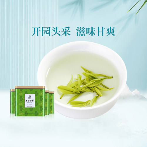 2026精品新茶芳羽安吉白茶头采500g罐装正宗高山绿茶春茶叶伴手礼 - 封面
