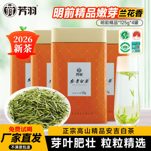2026新茶现货芳羽安吉白茶正宗明前精品500g罐装珍稀高山绿茶叶 - 封面
