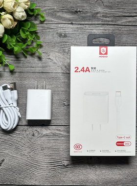 红果 G02 手机充电套装 安卓 适用苹果type-c 5V2安 批发 3C认证