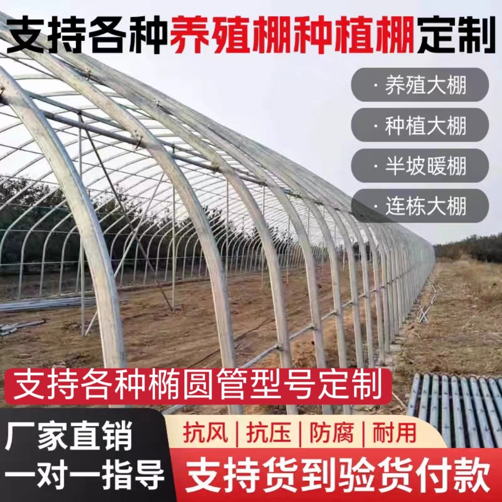 大棚骨架钢管全套养殖种植大棚图片