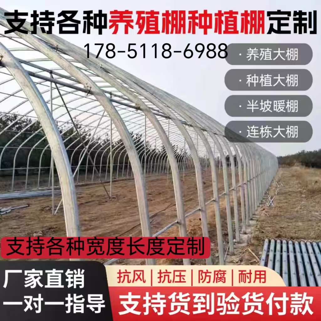 椭圆管养殖大棚蔬菜大棚抗风抗压