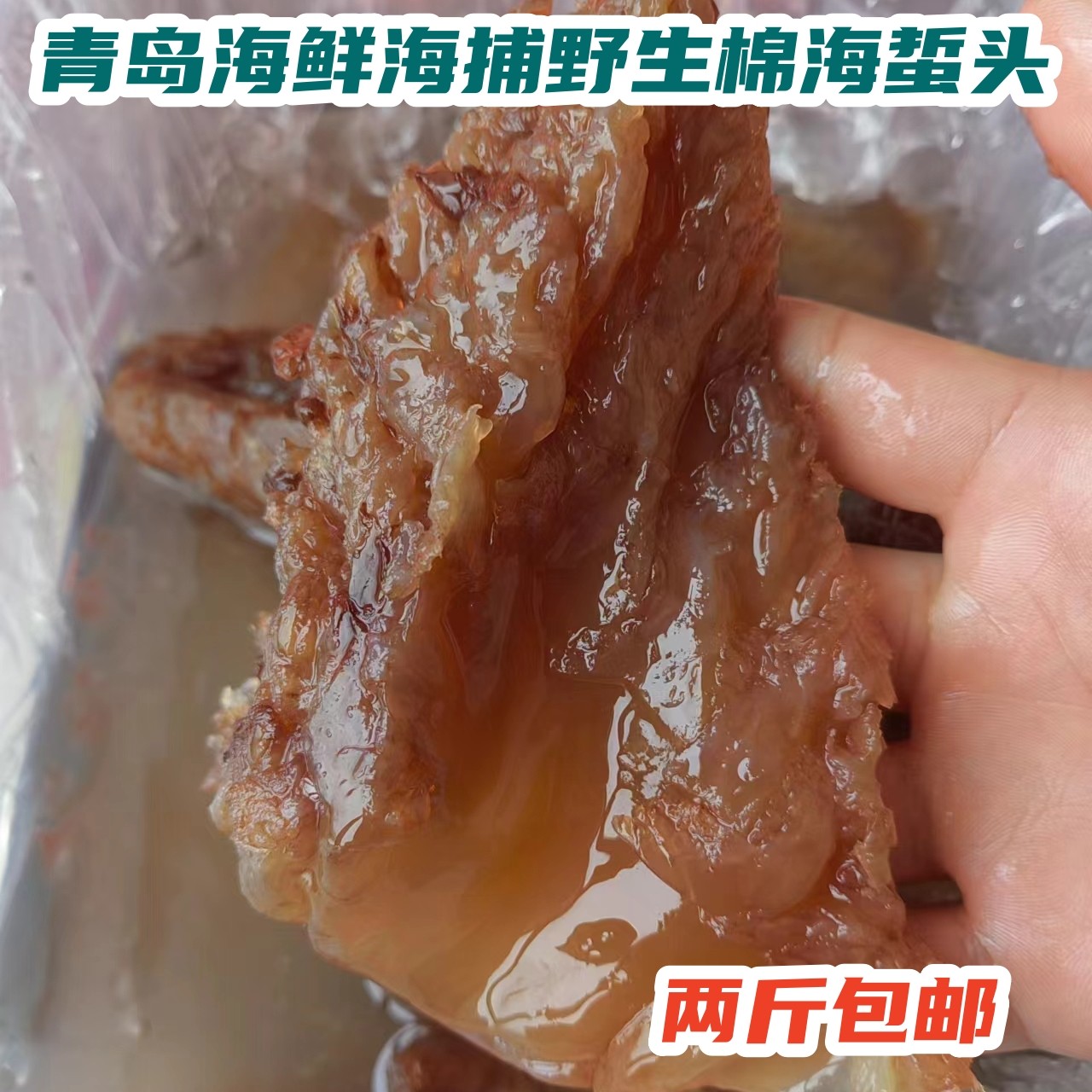 青岛崂山青黄山渔家特产野生海捕海棉面蜇头糖醋海蜇原料海蜇宴会