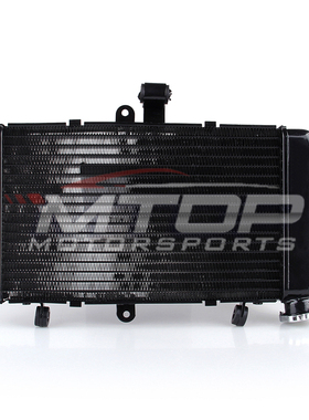 适用於本田 HONDA CBR 250 MC22 22期 水箱 散热器