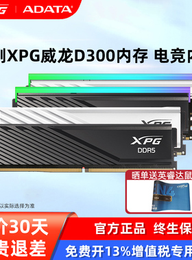 威刚威龙D300内存条6000/6400 16/32g马甲条DDR5台式机海力士Mdie