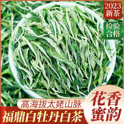 新茶福鼎白牡丹白茶250克