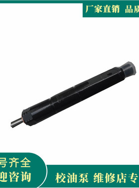 东方红柴油机系列 KBEL-P004G 配套 DLLA150P125 喷油器总成