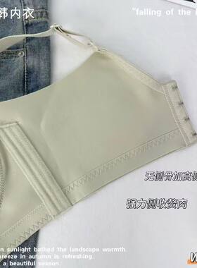 名韩专柜新款1203无钢圈侧收承托聚拢中厚防下垂舒适不跑杯文胸