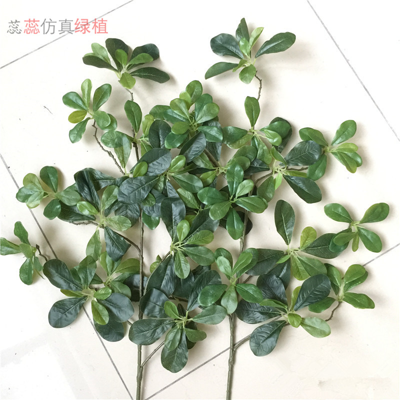 仿真福禄桐树叶园林植物叶子